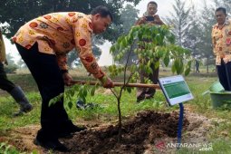Pemkab Bangka apresiasi PT Timah kembangkan reklamasi konsep agro edutourism