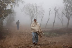 Cuaca dingin di Polandia tewaskan lebih dari 50 orang