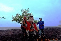 Ada wisata berkuda di Pantai Desa Jangkar Situbondo