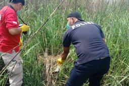 Polresta Sidoarjo tangkap pelaku pembunuhan