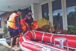 Waspadai ISPA dan diare muncul pascabanjir