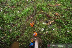 Sampah Hambat Arus Tranportasi Air