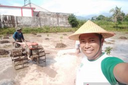 Permentan alokasi pupuk belum turun, petani di Jember tidak bisa dapatkan pupuk bersubsidi