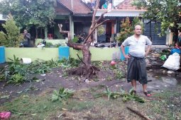 BPBD Sidoarjo waspadai banjir wilayah pesisir