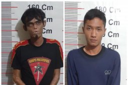 Polisi Secanggang Langkat tangkap dua tersangka pemilik ganja