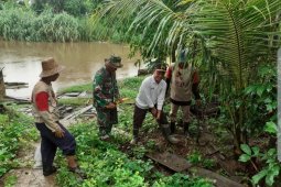 People plant bamboo seedling along Tabalong River to prevent landslide