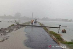 Angin kencang robohkan tiang listrik  di Pamekasan