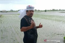 Petani Bangka Selatan mengeluh sulit dapatkan BBM
