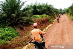 Gubernur usul dana bagi hasil kelapa sawit ke Jokowi