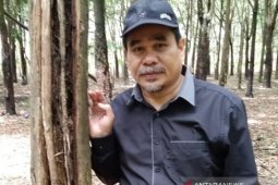 Haji Hermansyah orang Banjar di Bengkulu sukses bisnis produk teh celup gaharu