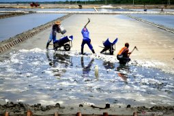 Sisa stok garam 2019