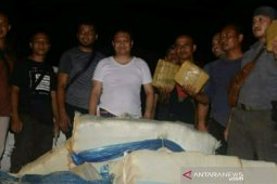 Awal tahun 2020, Polres Padangsidimpuan amankan 250 Kilogram ganja