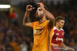 Liga Inggris: Gagal di Wolverhampton, Cutrone dipinjamkan ke Fiorentina