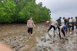 Polda dan Pemkab Gorontalo Utara tanam 2000 bibit mangrove