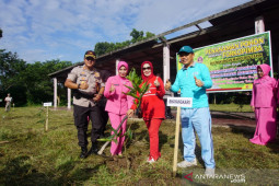 Bupati Tapin ikut hijaukan kawasan Polres Tapin