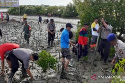 BKSDA tanam bibit mangrove di Cagar Alam Tanjung Panjang Pohuwato