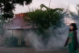 S Kalimantan's HSU anticipates dengue outbreak