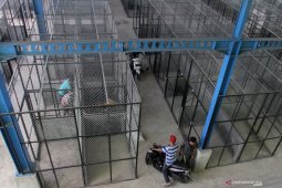 Revitalisasi pasar tematik