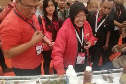 Dipuji Ketum PDIP Megawati, Risma ucapkan terima kasih