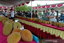 Ratusan pengunjung padati kontes dan bazar durian