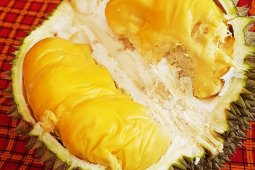 Komunitas durian : Kualitas durian Banjar bersaing dengan durian Asia