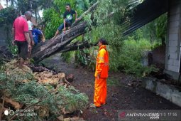 Tangani bencana, Pemkab Kulon Progo anggarkan BTT Rp3,6 miliar