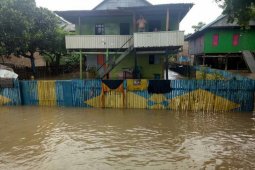 Warga Polewali Mandar ikat rumahnya di pohon agar tidak terseret banjir