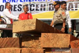 Polisi tangkap perambah hutan lindung