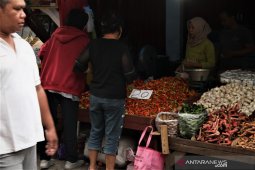 Balikpapan Kendalikan inflasi dengan Program Urban Farming