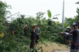 Warga pedalaman bantu pemasangan jaringan listrik PLN