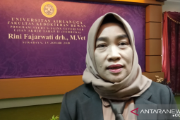 785 ribu bibit itik Alabio ditebar di tujuh daerah di Kalsel