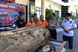 Polres Batu tangkap dua penjual kayu hasil pembalakan liar