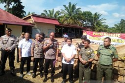 Polisi selidiki pemilik ratusan batang kayu ilegal di Bengkulu