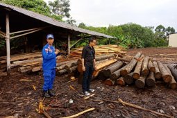 Ditpolair Polda Kalbar sita 850 batang log dan kayu olahan ilegal
