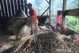 Petani keluhkan harga minyak serai wangi turun jadi Rp150 ribu/kg