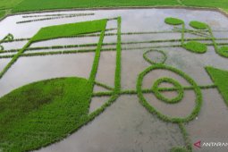 Karya seni Not Khatulistiwa menarik minat ribuan pengunjung