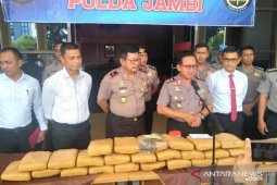 Polda Jambi ungkap penyimpanan ganja di gudang sekolah