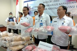 BNNP Bali gagalkan peredaran 29 kg ganja jaringan Medan-Bali