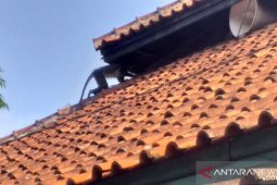 BKSDA pasang perangkap dan alat deteksi surili di Cianjur