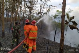 Dua hektare lahan semak belukar hangus terbakar di Aceh Tenggara