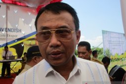 Kenaikan harga cabai karena perubahan pola tanam