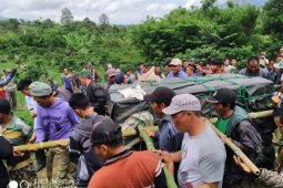 Forest overexploitation forcing tigers to newer grounds: Walhi