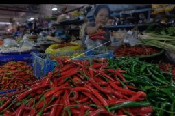Harga cabai di Bali naik