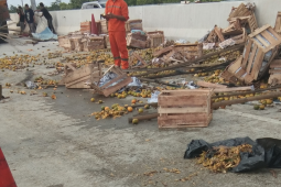 Tumpahan jeruk di jalan tol ruas Terbanggi-Bakauheni