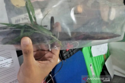 Polisi Subang tangkap pelaku pembunuhan supir taksi daring