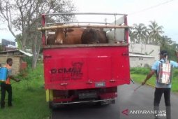 Antisipasi zoonosis, Jateng batasi lalu lintas hewan ternak