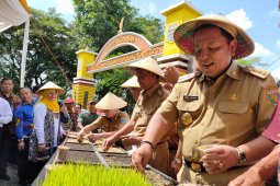 Gubenur terapkan pola tanam padi di Metro ke kabupaten lain