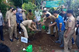 Kampung Buntar Bogor direstorasi dengan tanam bibit pohon pala