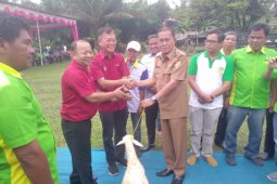 Asian Agri salurkan bantuan 400 ekor kambing ke Labusel