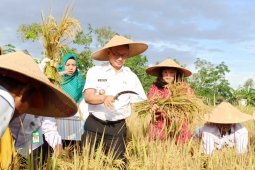 Wali Kota Pontianak apresiasi semangat Poktan tanam padi meskipun lahan terbatas